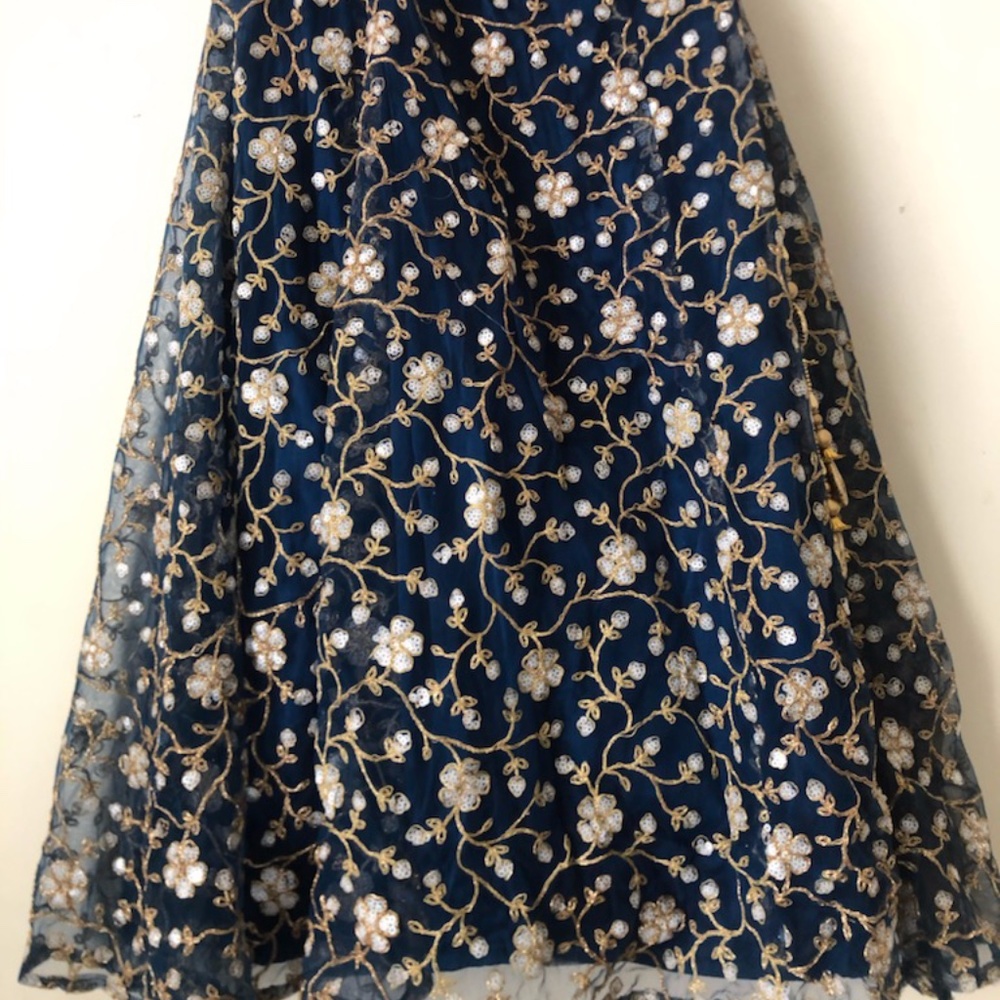 Stunning 3 Piece Lengha - Picture 6 of 7